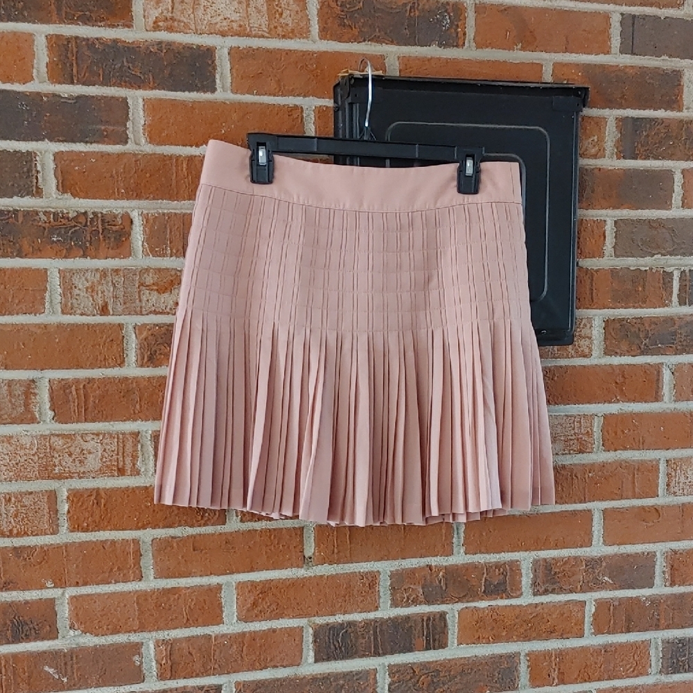J. Crew Dusty Rose Accordion Skirt Size 8